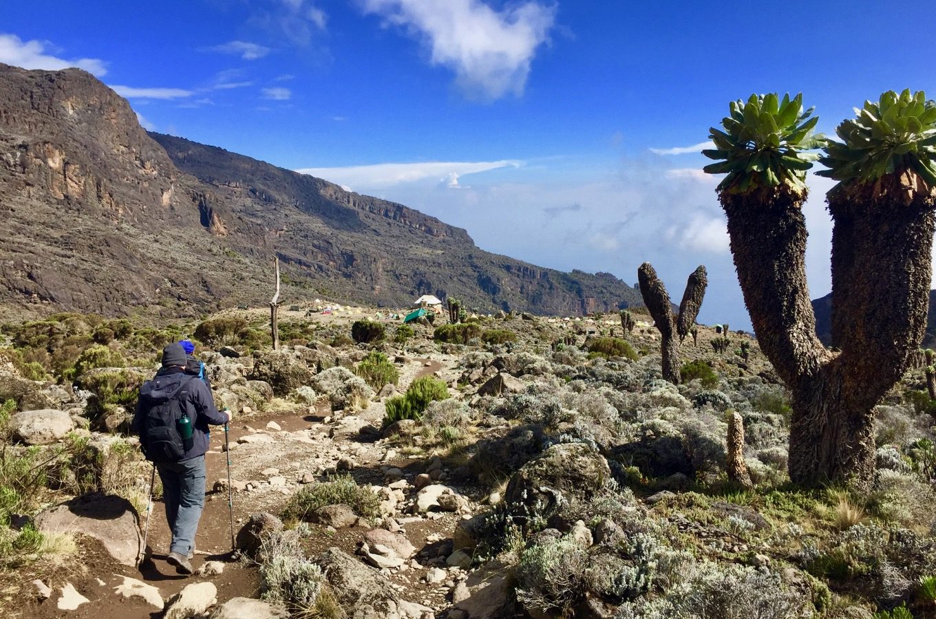 Six day Mount Kilimanjaro Machame Route climbing package
